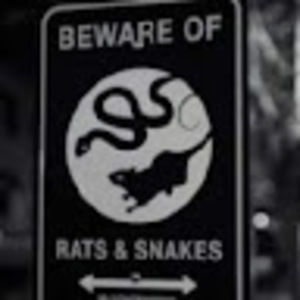 Meet your Posher, Neil